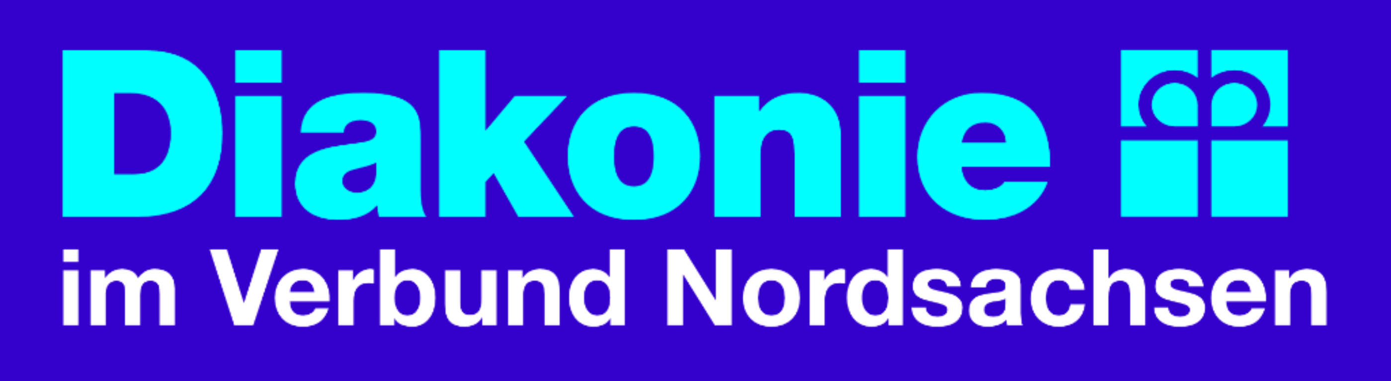 logo diakonie 2025a