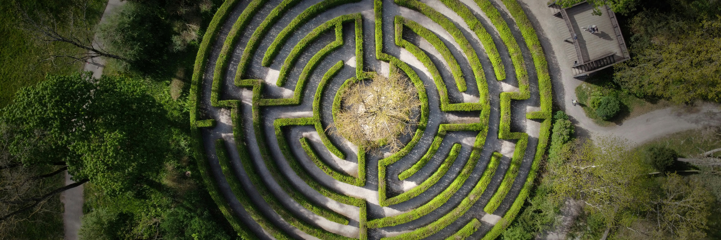 Gott spricht: Ich will das Verlorene wieder suchen...