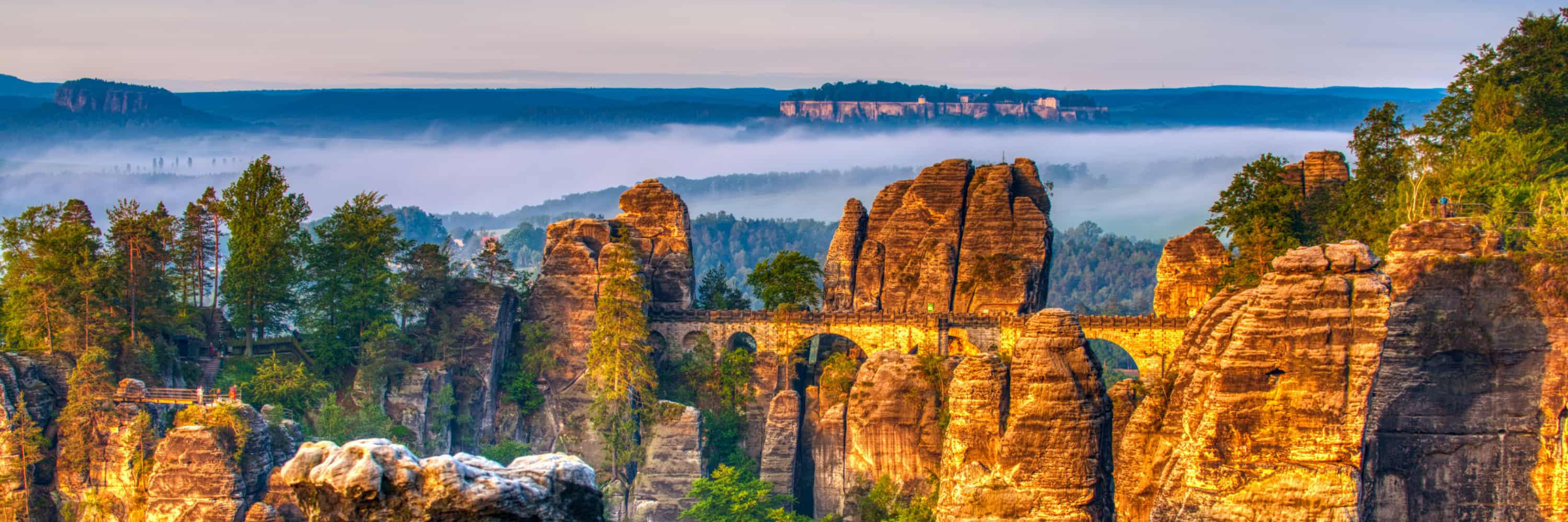 Herbstwildnistage 2023